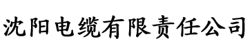 国产原创视频麻豆电缆厂logo